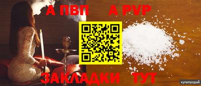 шишки Балашиха