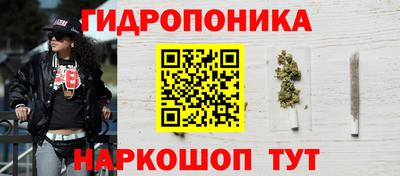 шишки Балашиха