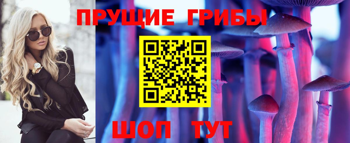 Галлюциногенные грибы Magic Shrooms  Галлюциногенные грибы Psilocybe  Вход с VPN  Елец 